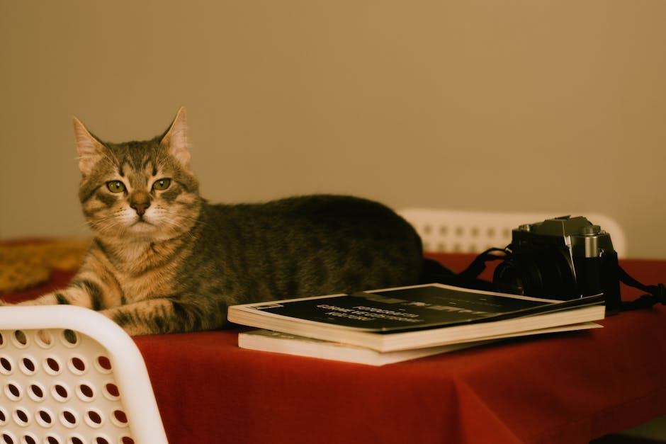 Pet Cameras — smart home buying guide hero
